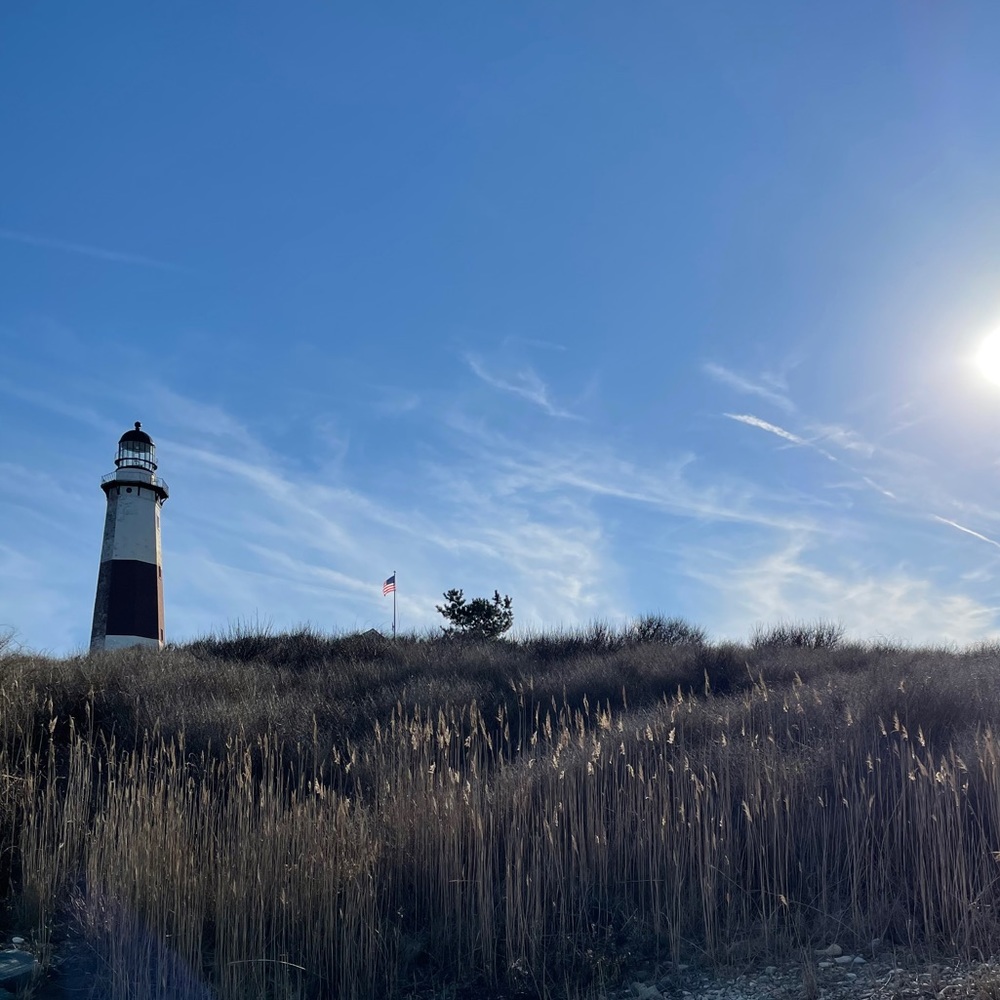 Meet your Posher, Penelope